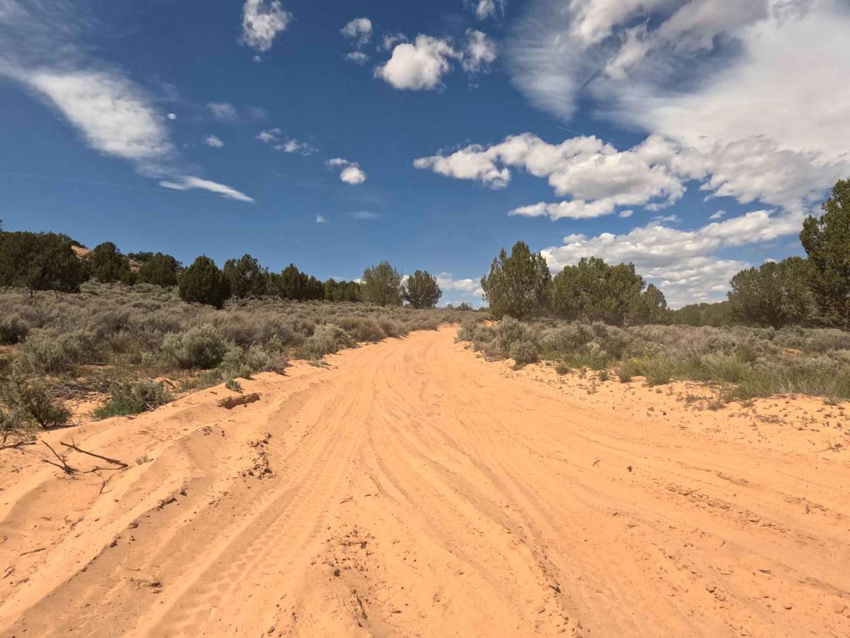 BLM 103 photo 2