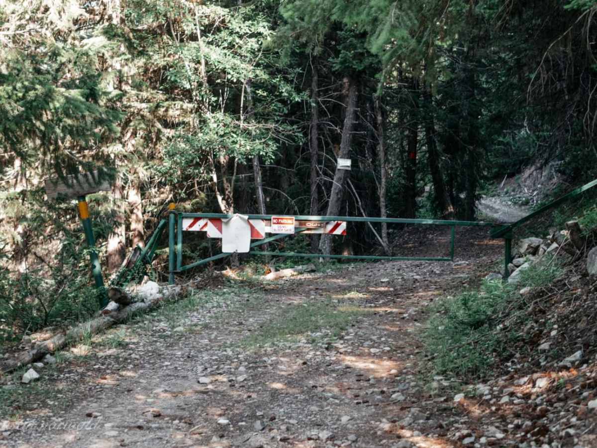 Hart's Pass Road 54007 photo 3