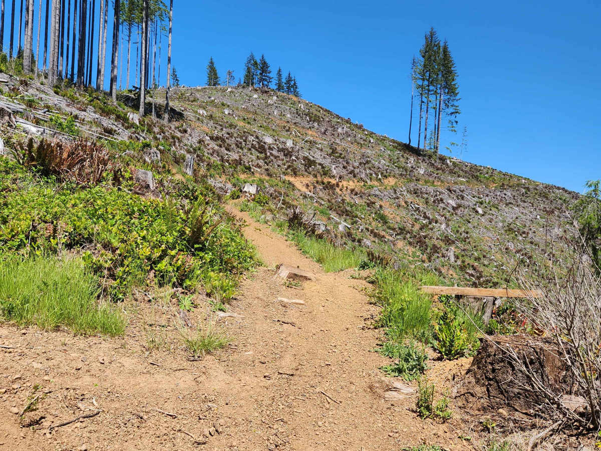 Slide photo 2