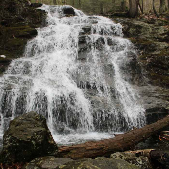 Near Race Brook Falls