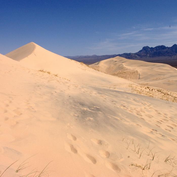 Near Kelso Dunes Route