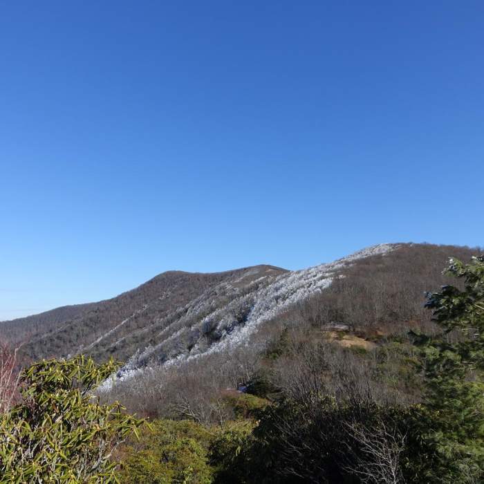 Near Spence Field Loop Near Spence Field Loop