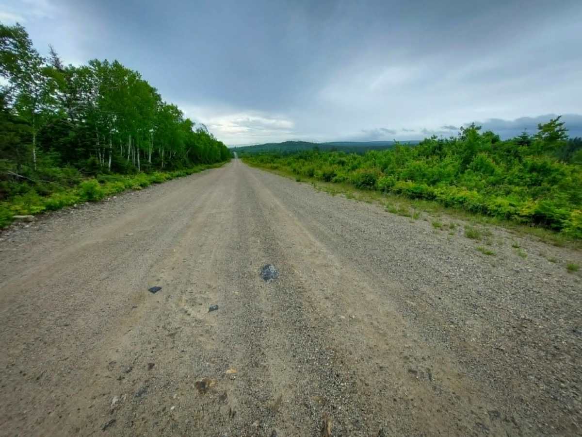 Fraser Burchill Road photo 3