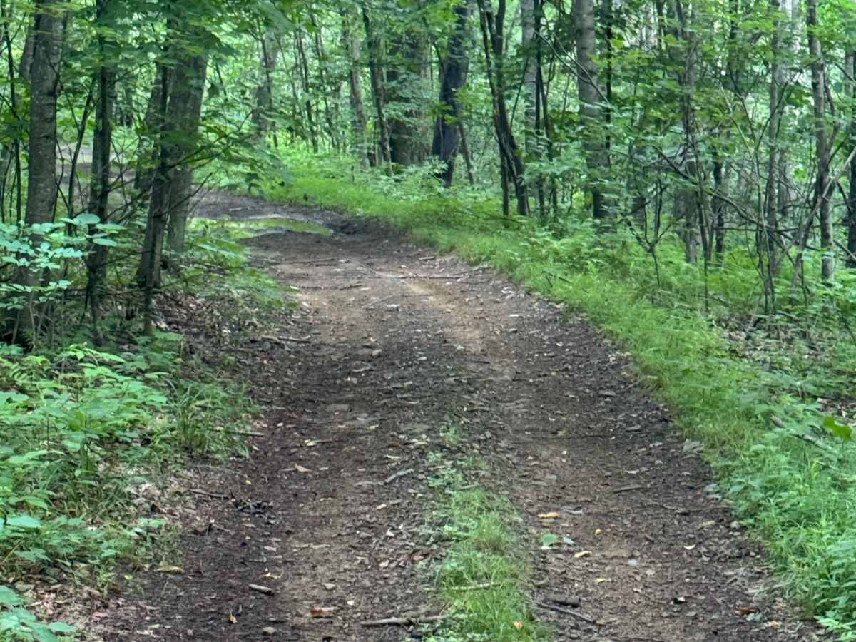Trail 78 photo 3
