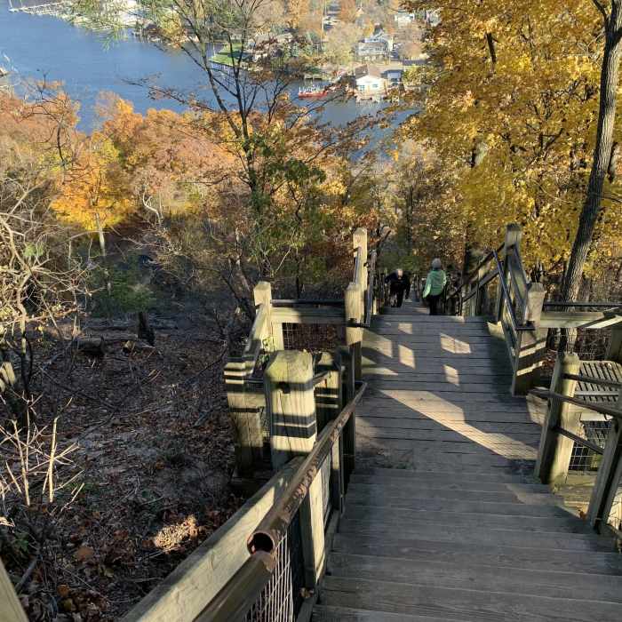Looking down from the last step. Near Water Tower - Lagoon - Mount Baldhead - Oval Beach
