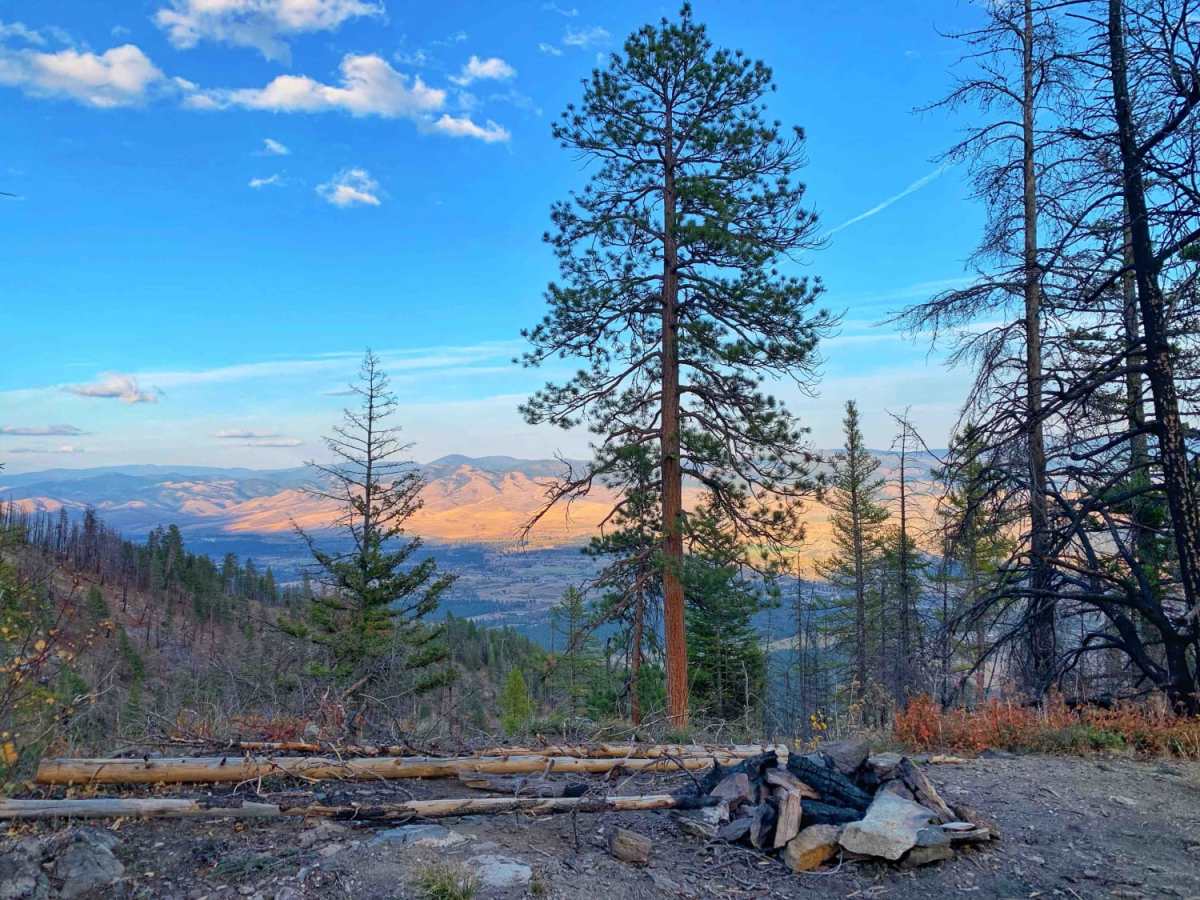 Sweeney Creek Trail photo 5