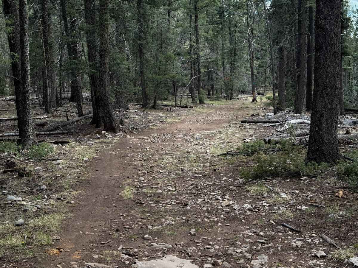 Little Apache Trail  photo 6