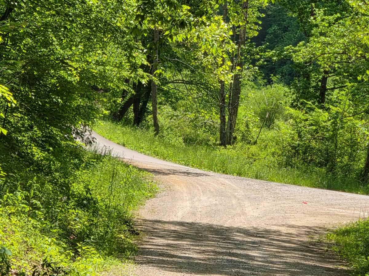 Slash Road trail photo