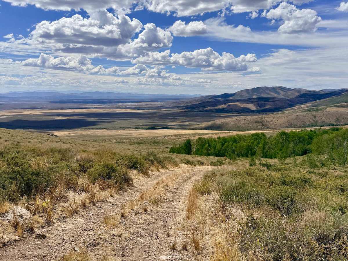 North Fork Pratt Extension - FS 56158B trail photo