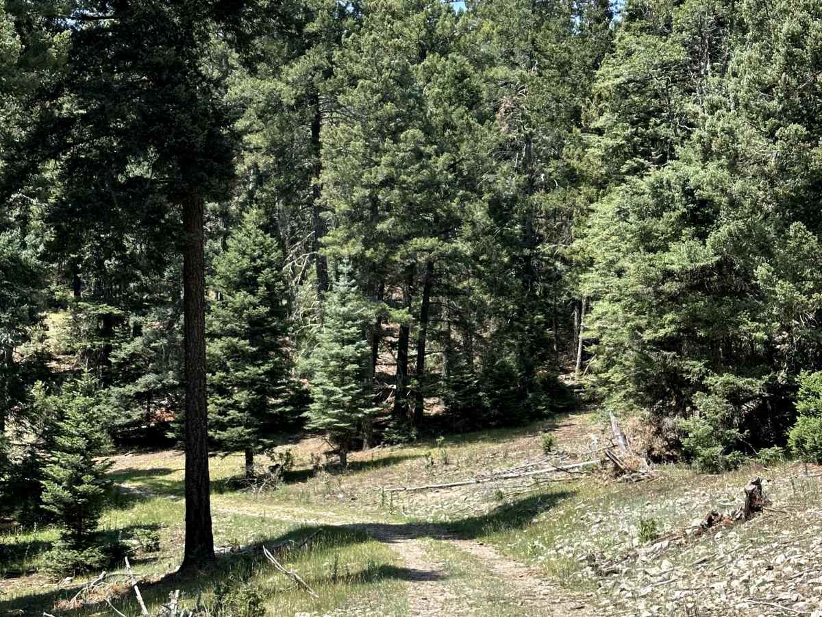 Alamo Canyon photo 5