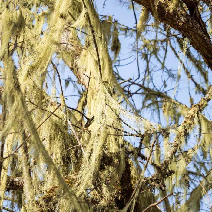 Near Cooper Creek Reservoir Trail
