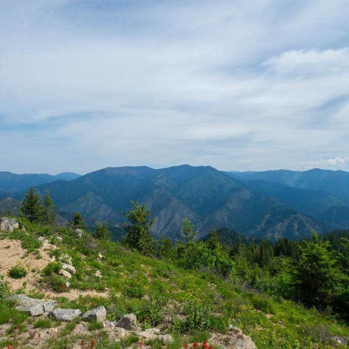 Near Shissler Peak Fire Tower