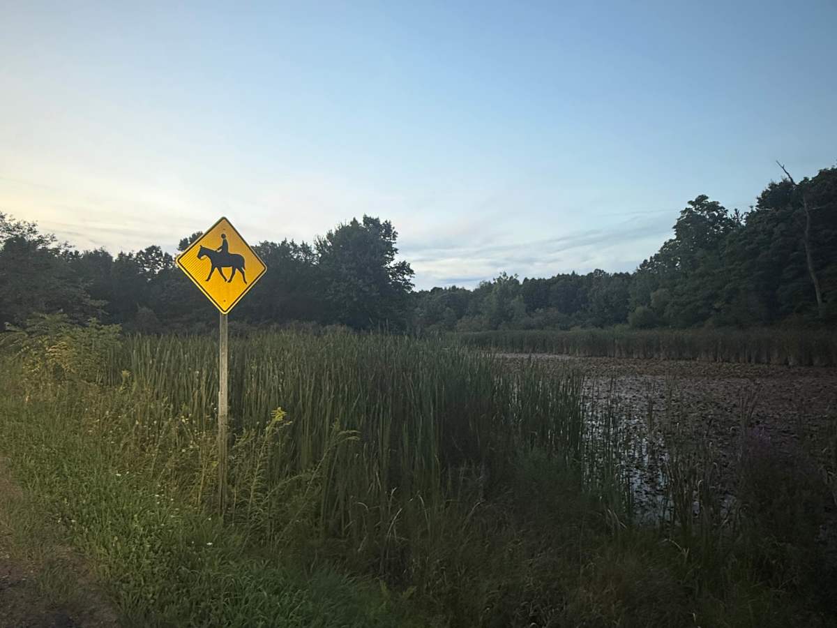 Rec Trail photo 3