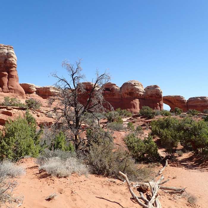 Near Sand Dune + Broken Arch Loop