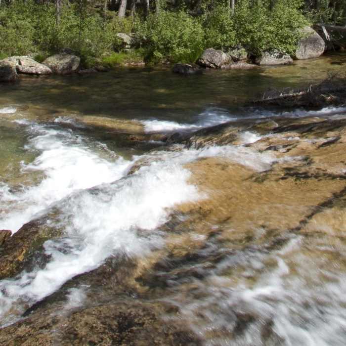 Near Redfish Lake Canyon