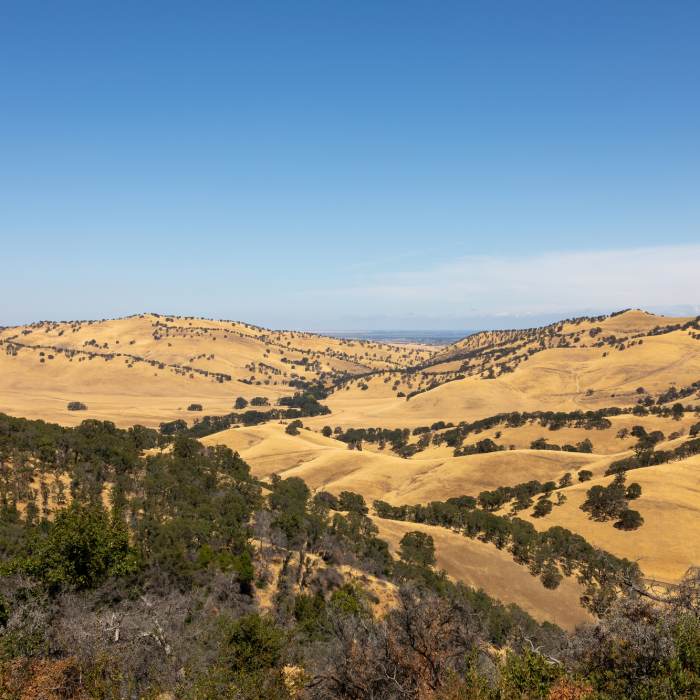 Near Miwok Trail