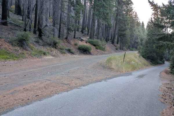 Big Lake Road - FS 5N09