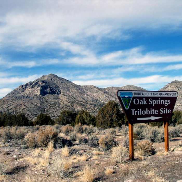 Near Oak Springs Trilobite Site Near Oak Springs Trilobite Site