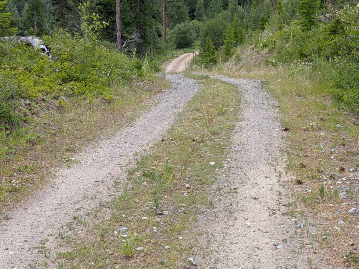 Woody Summit Road photo 3