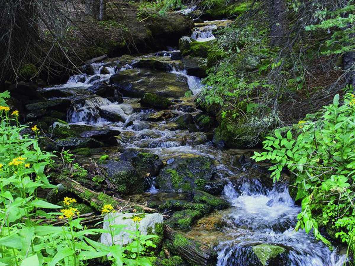 Rock Creek trail photo
