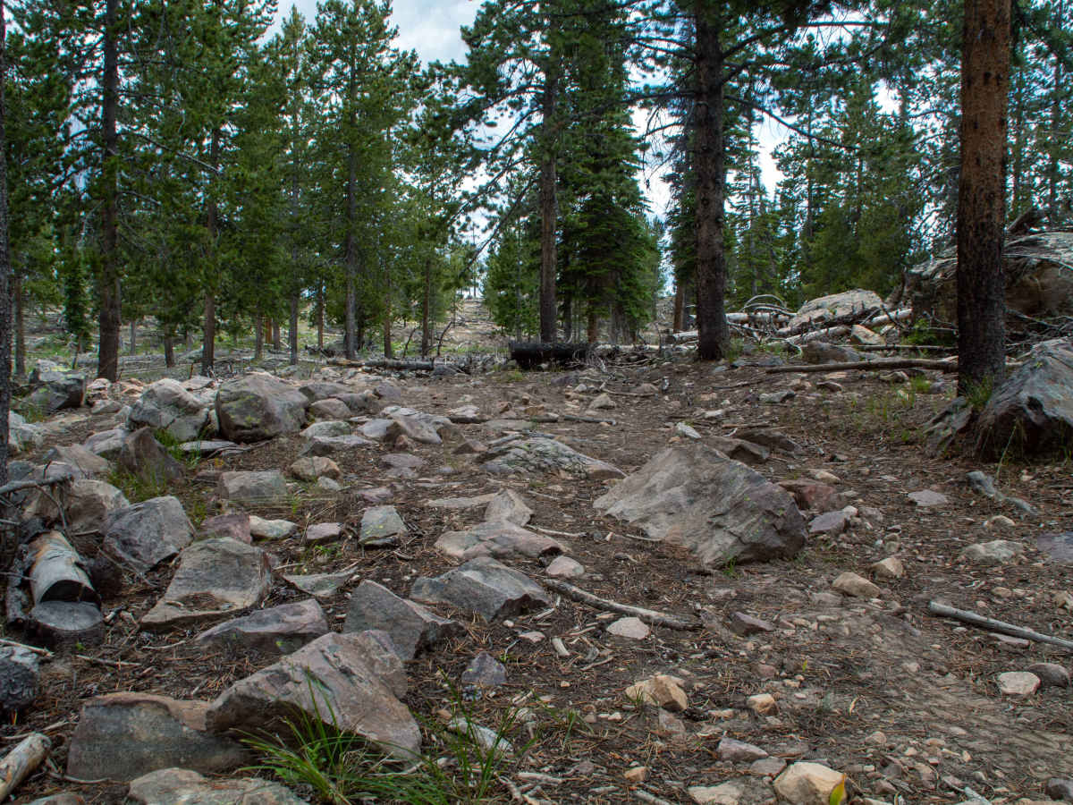 Spring Canyon 1 - FS 80935 trail photo
