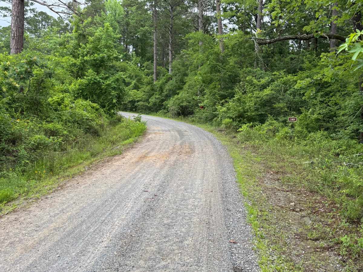 Muddy Creek trail photo