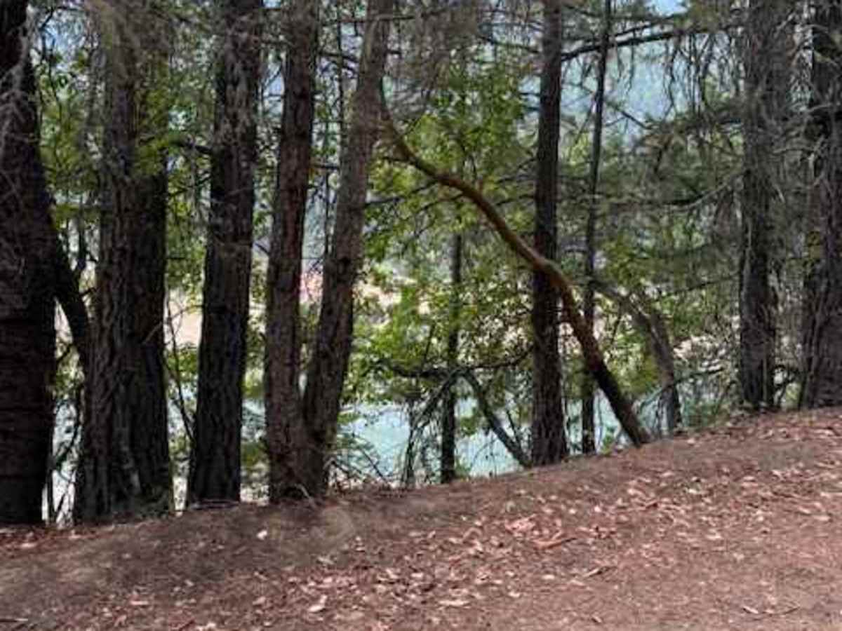 Payette Trail - FS 970 photo 3