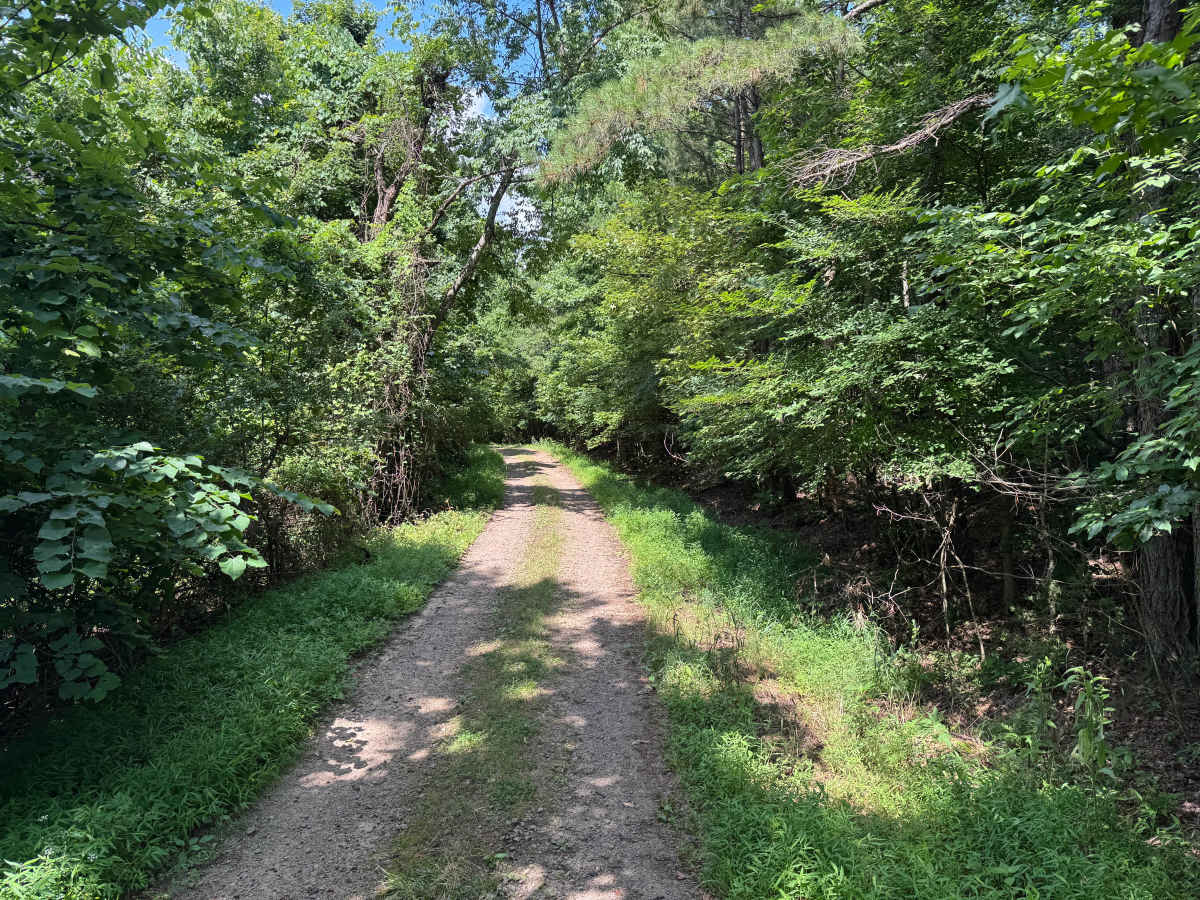 Alexander trail photo