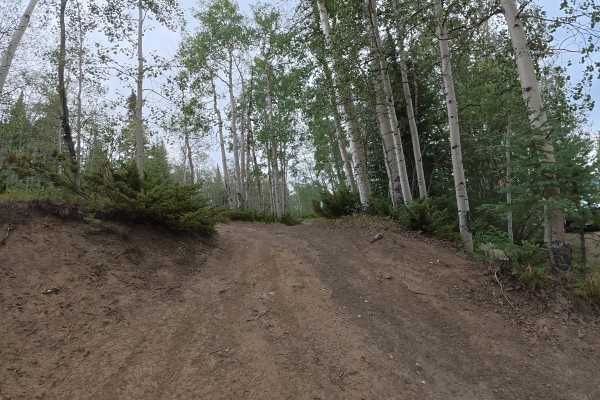 Long Lake Road