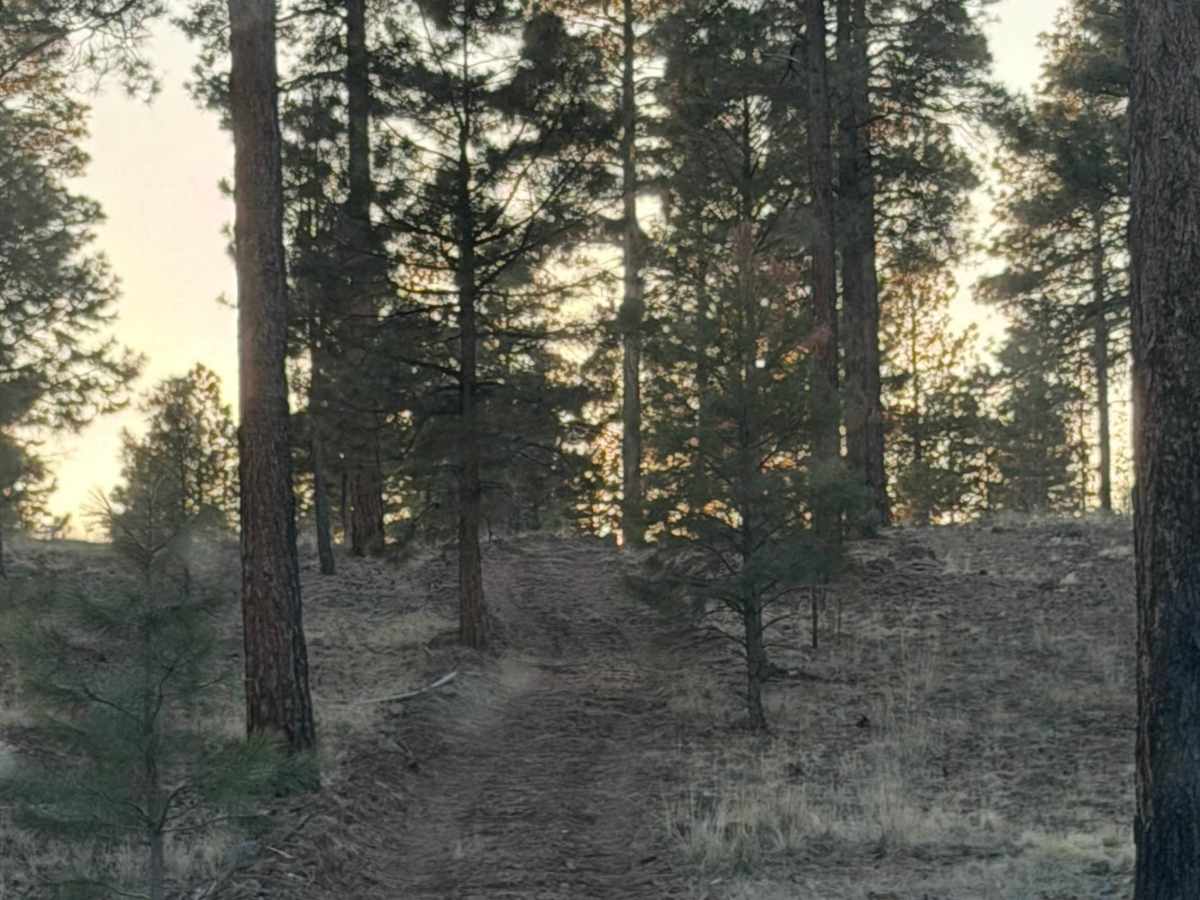 Backside of Tuthill photo 4
