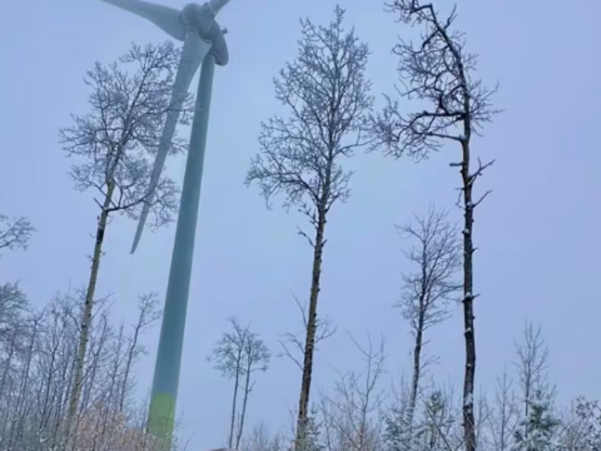 Bear Mountain Wind Park photo 5
