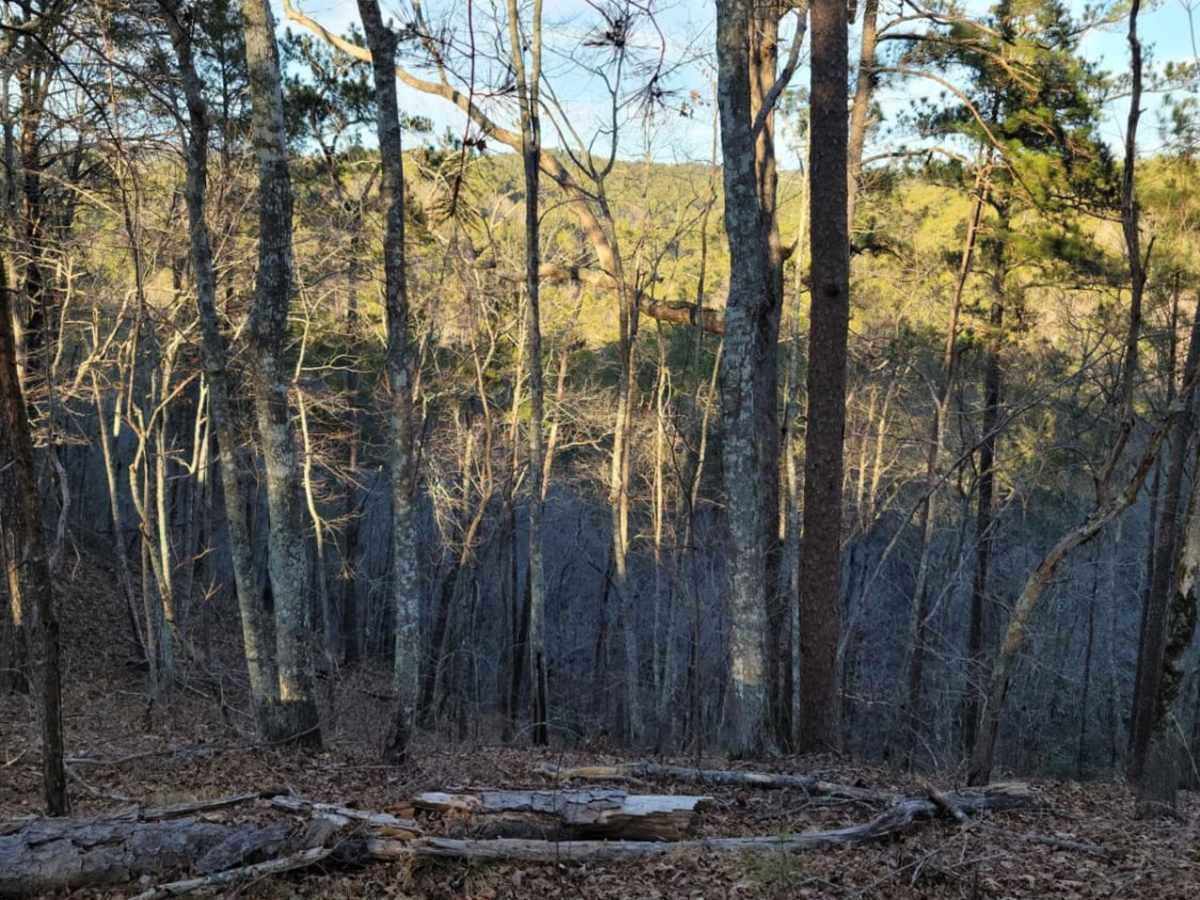 USFSR #531I trail photo