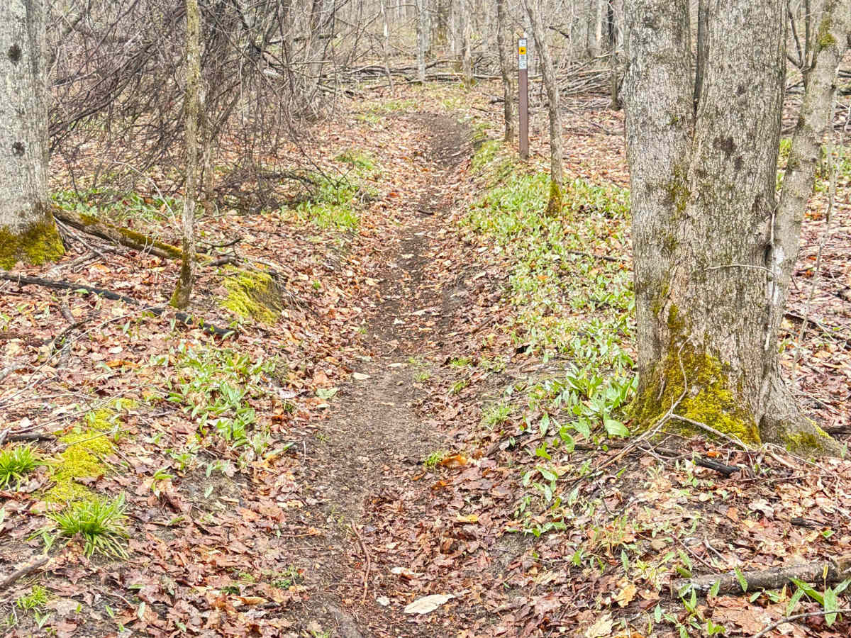 Tomahawk C loop Southeast Leg photo 5