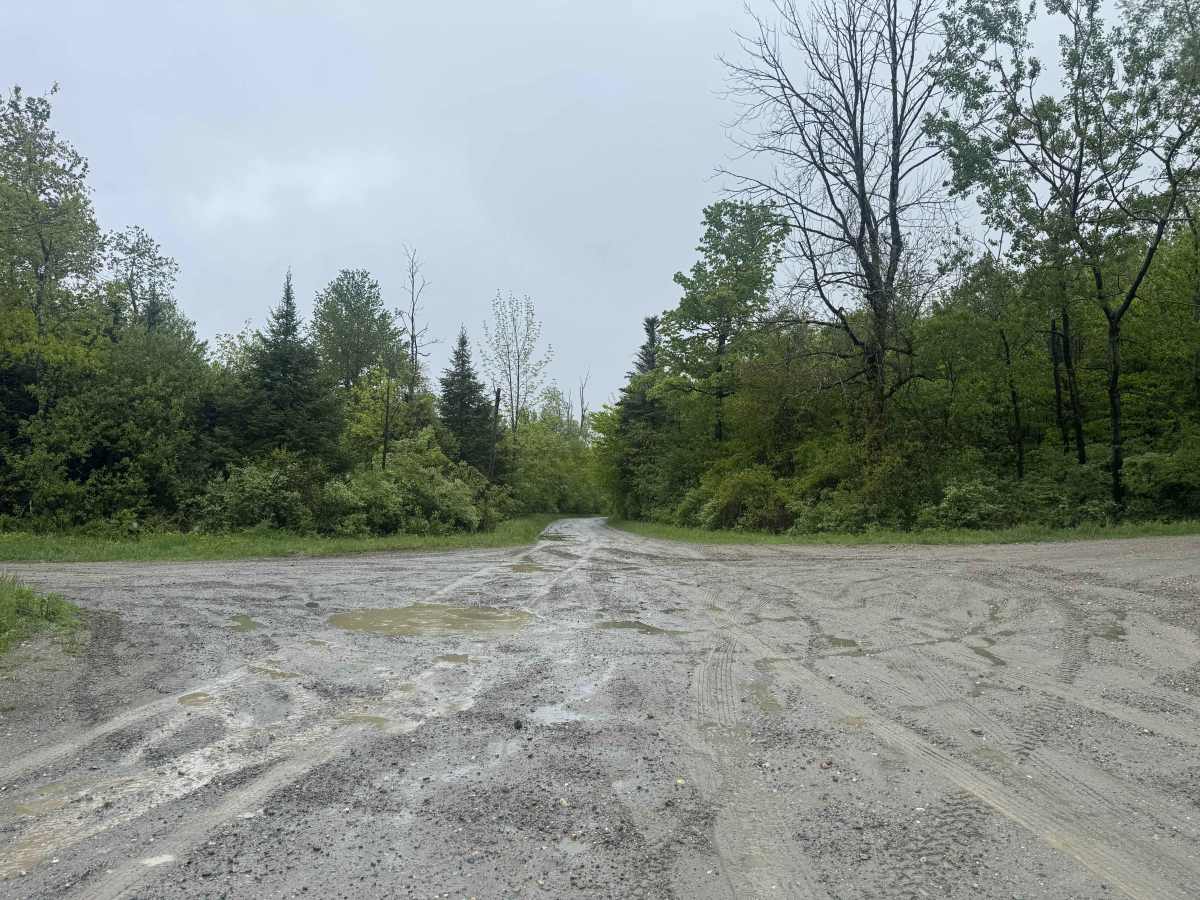 Lenox Whitney Place Road photo 5