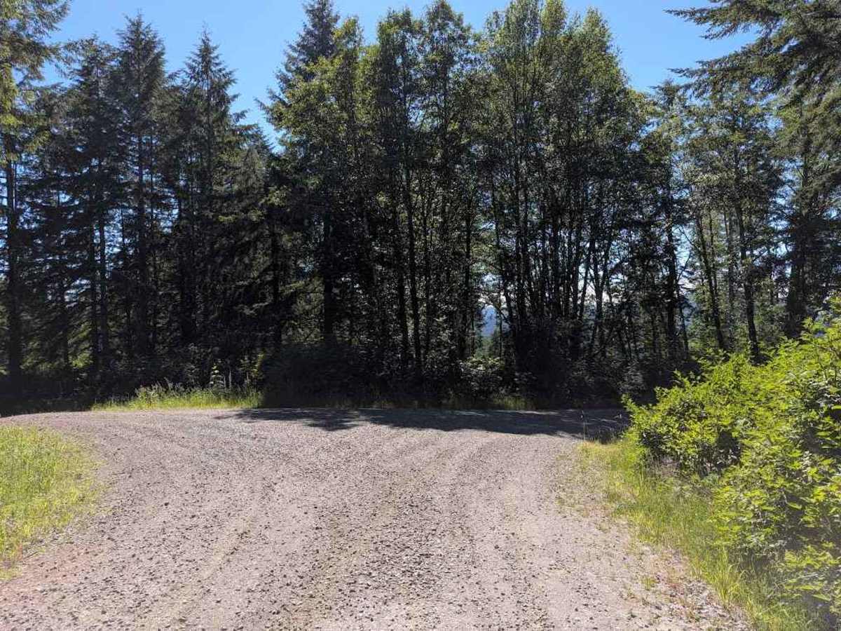 Lake Creek Rd - FS 3210 photo 6