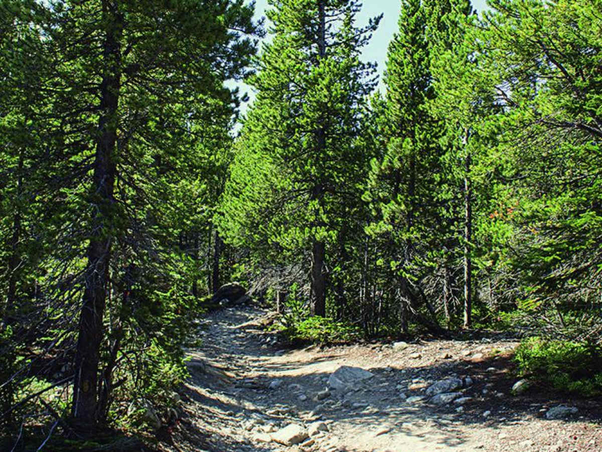 Middle St. Vrain, Coney Flats photo 2