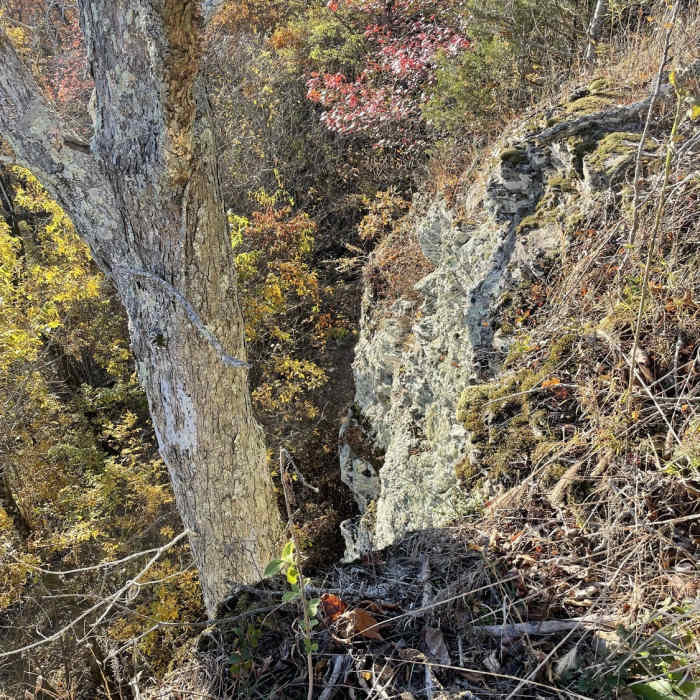 Near OHT: Section 1--Lake Ft. Smith to White Rock Mountain