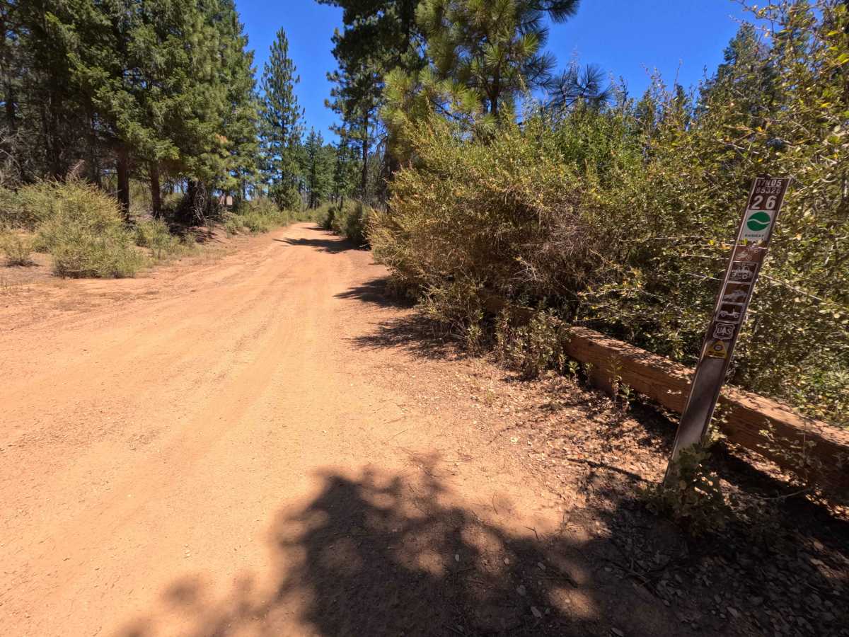Hornet's Nest Ridge - FS 17N05 trail photo