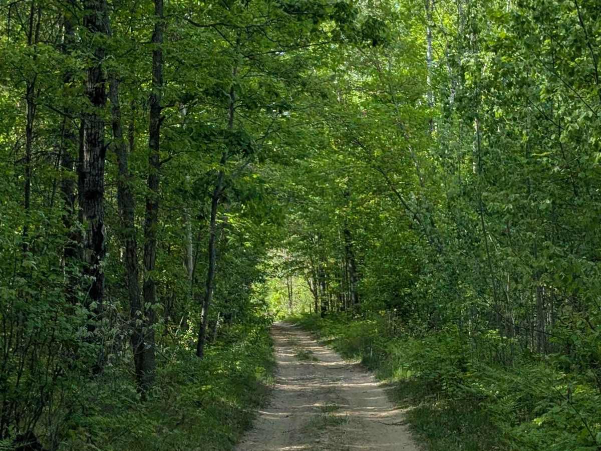 North Missaukee Route (section 2) photo 6
