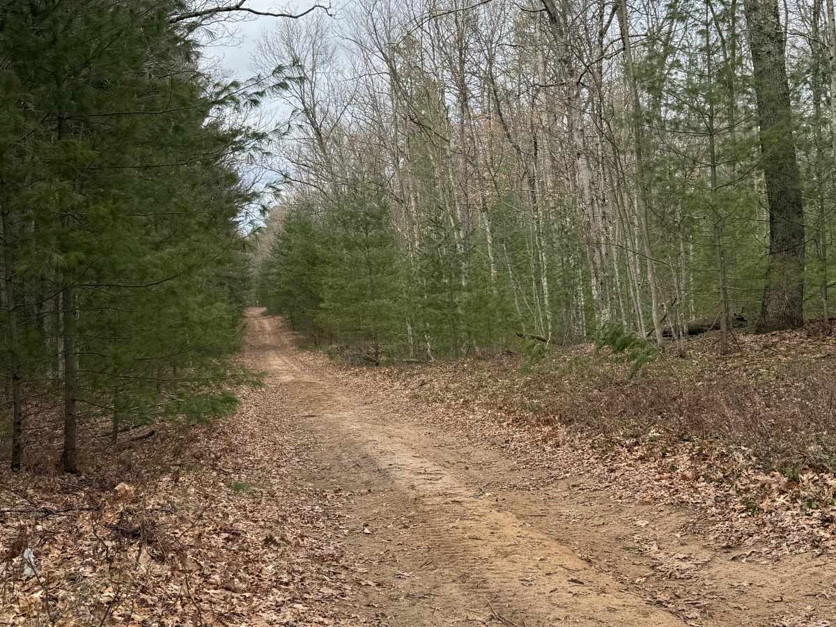 FS 8630 trail photo