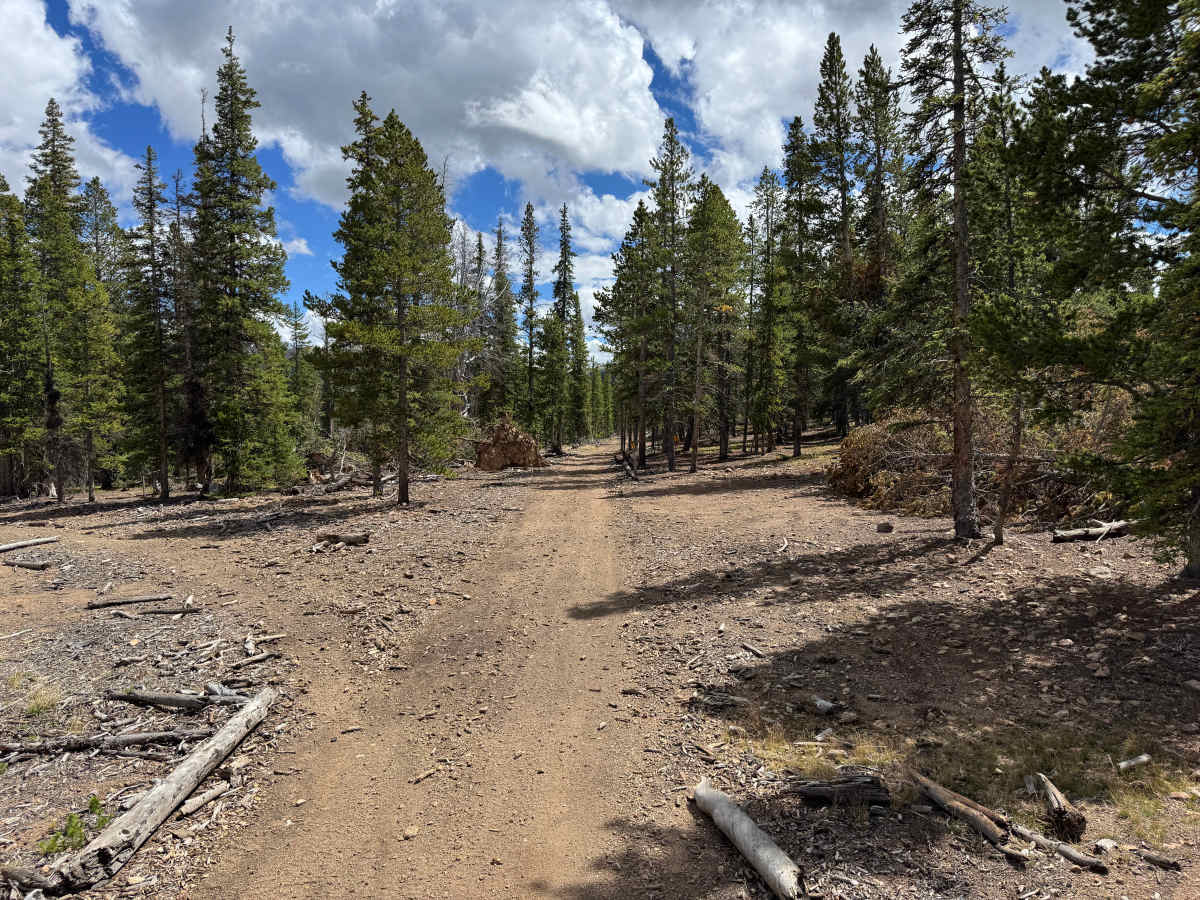Georgia Gulch Road trail photo