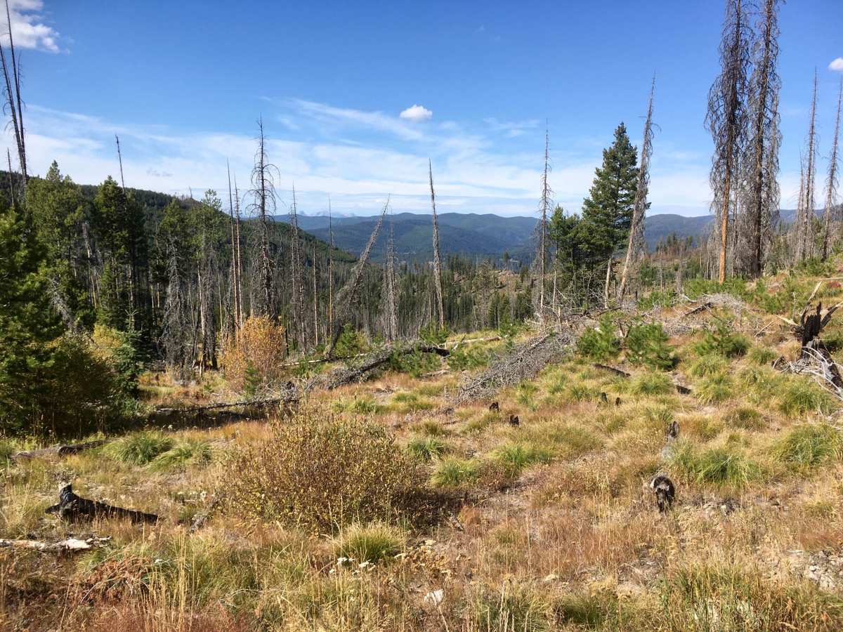 Lick Creek Road photo 3