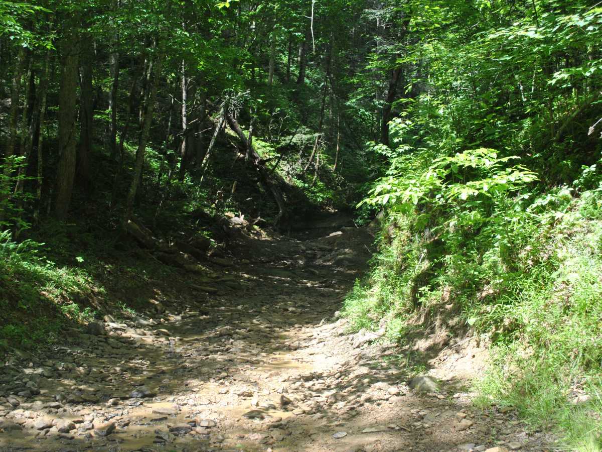 5 trail photo