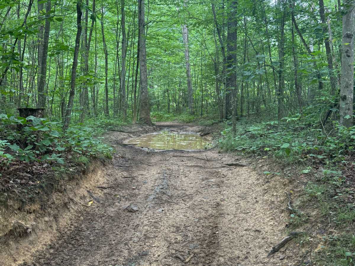 Trail 57 photo 2