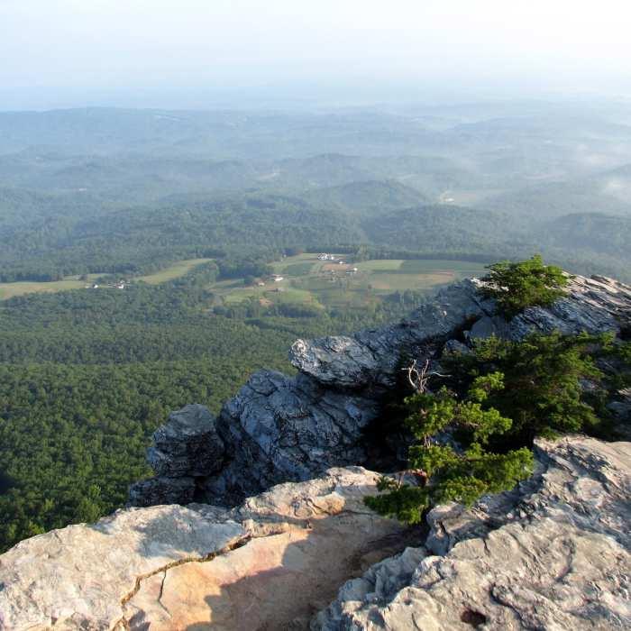 Near Moore's Wall Loop Trail