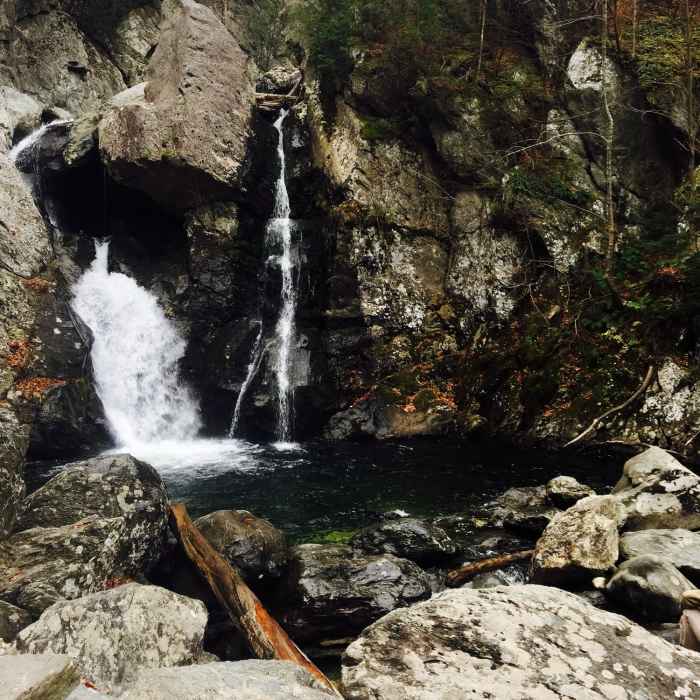 Near Bash Bish Falls Trail