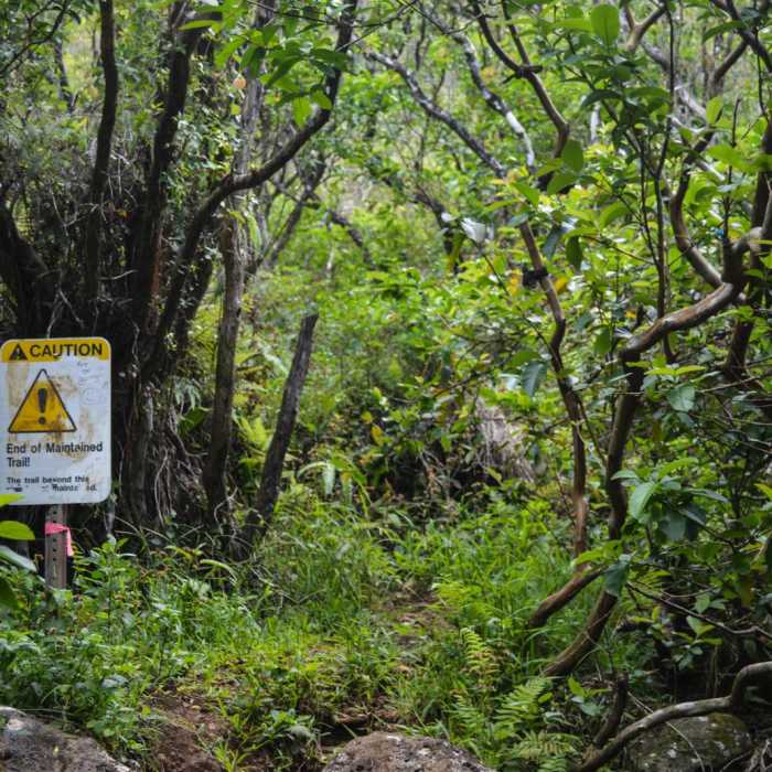 Near Kulana'ahane Trail Near Kulana'ahane Trail