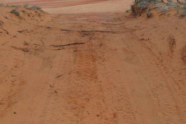 Dinosaur Tracks Loop