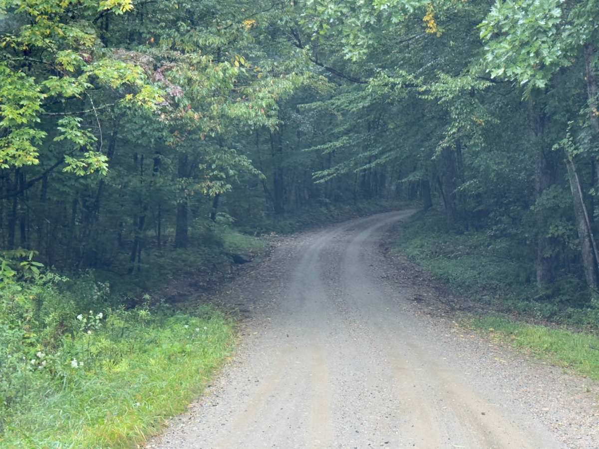 Klondike Road photo 5