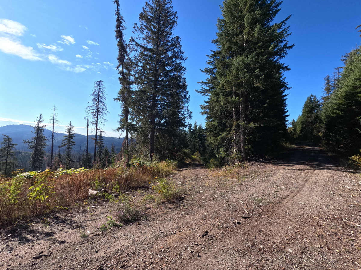 Klahowya Creek J - FS 1075J trail photo
